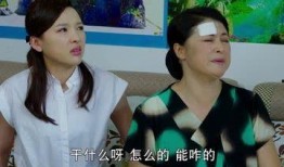 电视剧乡村爱情9部上全集在线观看,笑料百出，温情满溢，重温农村生活百态