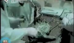 外星资料爆料视频,神秘视频曝光，探寻宇宙未知之谜